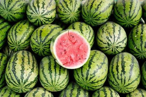 大瓜吃料网免费网页版,揭秘娱乐圈最新动态，畅享娱乐资讯盛宴