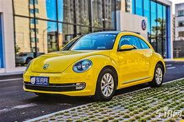 沈旭爆料甲壳虫视频大全,甲壳虫视频大全背后的精彩瞬间